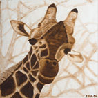 DP5 Giraf 2004